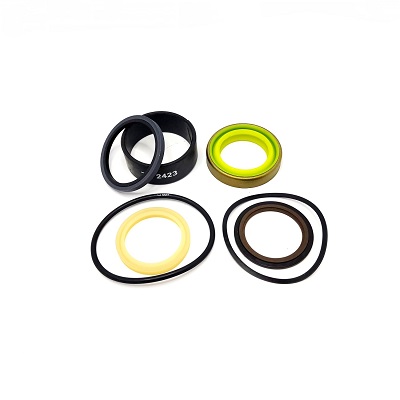 2465916 - REPARO