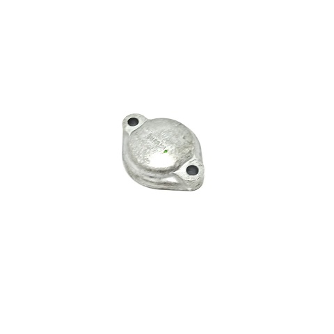 75202922 - CAPA