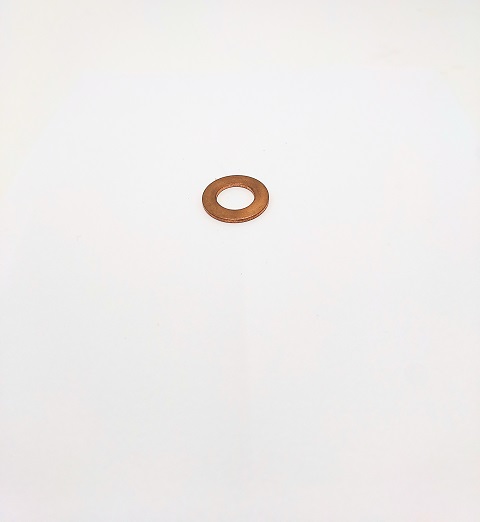 10284660 - ARRUELA
