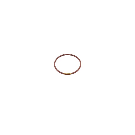 8C 3079 - RETENTOR