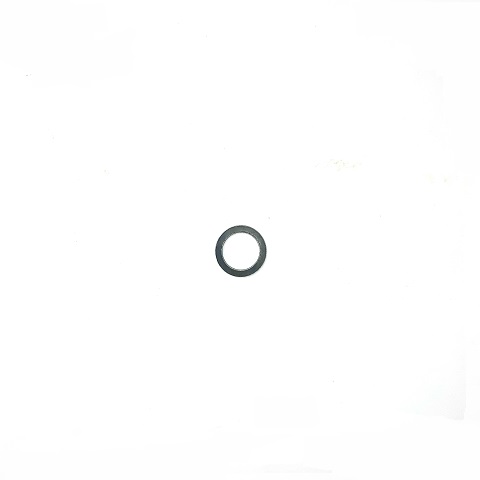 2464361 - ARRUELA