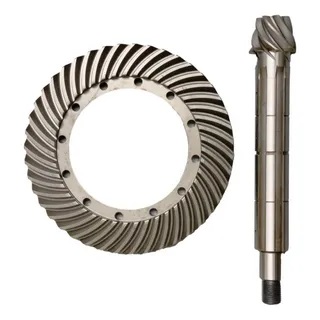 79089817 - COROA E PINHAO