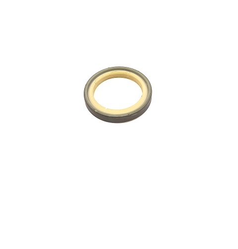 2313540 - ANEL