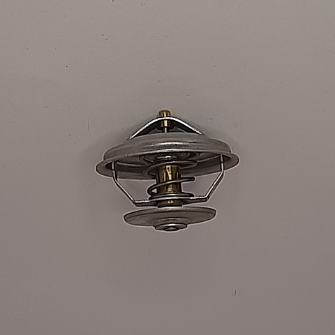 145770A1 - VALVULA TERMOSTATICA