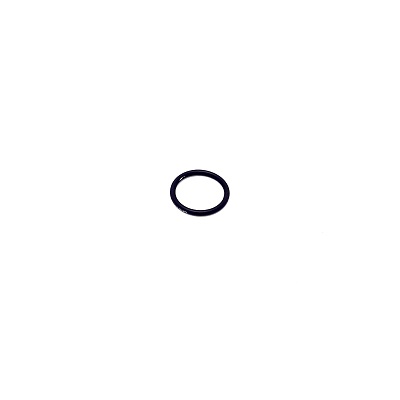 1691616 - ANEL
