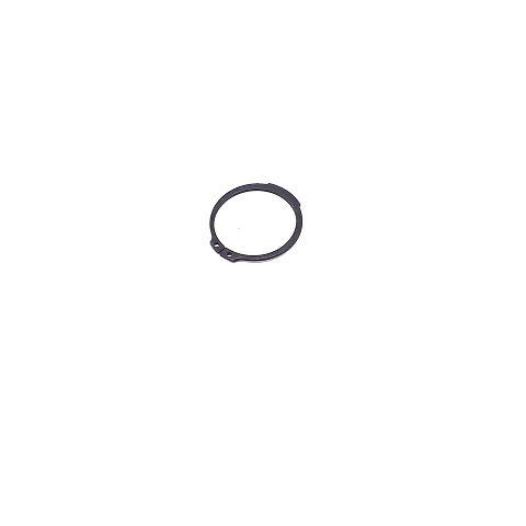 237669 - ANEL