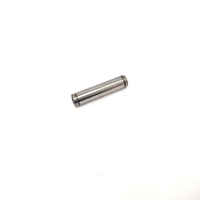 3925863 - GUIA VALVULA A/E STD