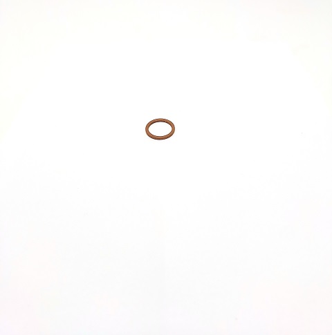 10280060 - ARRUELA