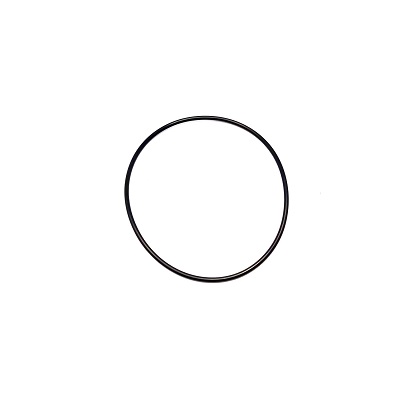 5F 3999 - ANEL