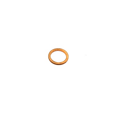 2862890 - ARRUELA
