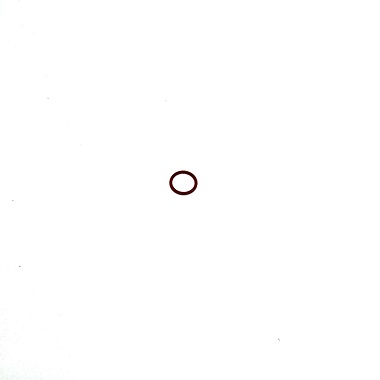 1492091 - ANEL