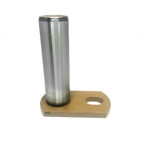 2614546 - PINO