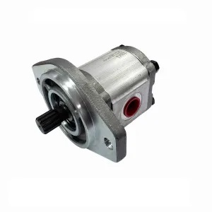 1S 1407 - BOMBA DE OLEO