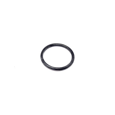 4J 0521 - ANEL