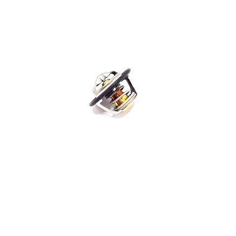 84322388 - TERMOSTATO