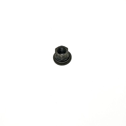 9968071 - PORCA