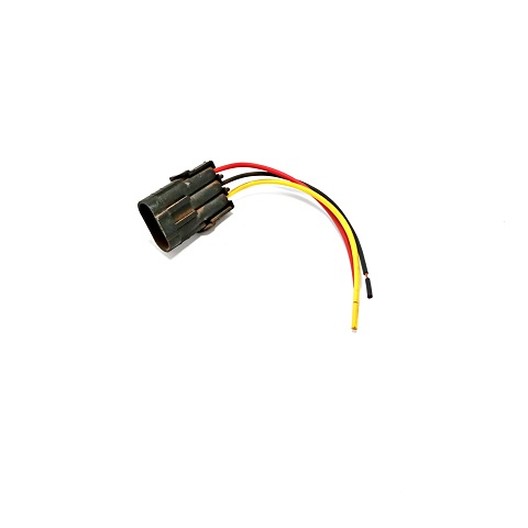 RS 9761 - CHICOTE