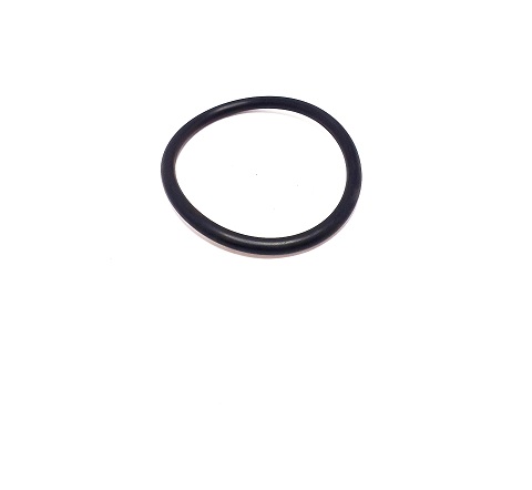 E1613055 - ANEL