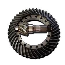 79065940 - COROA/PINHAO