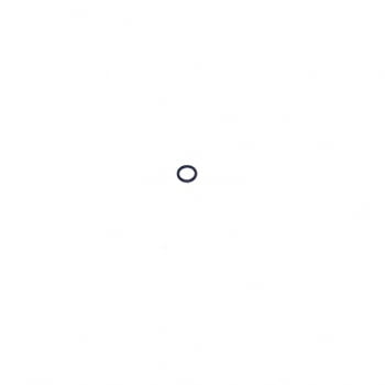 91F 04 - ANEL