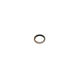 6950131007 - RETENTOR