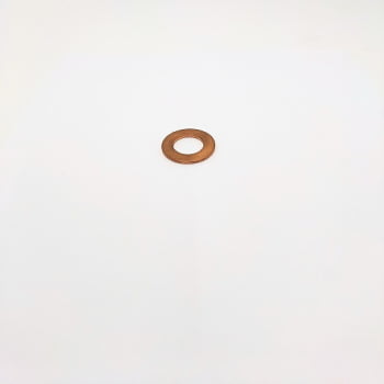10284660 - ARRUELA
