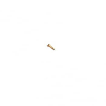 13876940 - REBITE