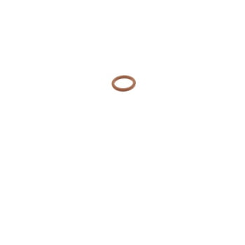 14437585 - ANEL