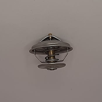 145770A1 - VALVULA TERMOSTATICA