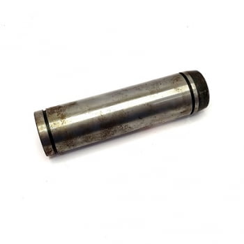 D 146288 - PINO