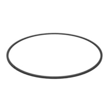0875510 - ANEL