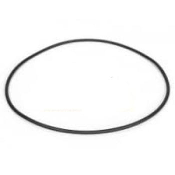 9968008 - ANEL