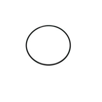 71101819 - ANEL