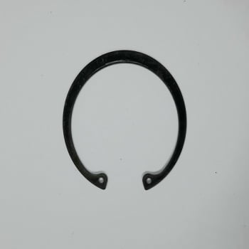 10021237 - ANEL
