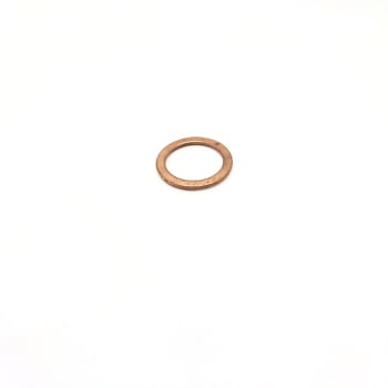 10296585 - ARRUELA