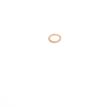 10257460 - ARRUELA
