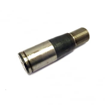 E 66294 - PINO