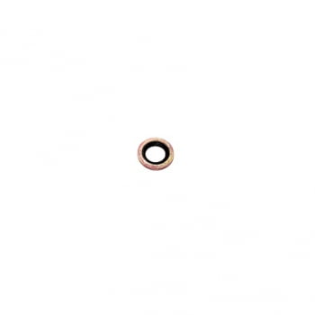 943907 - ANEL