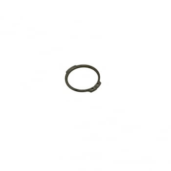11069371 - ANEL