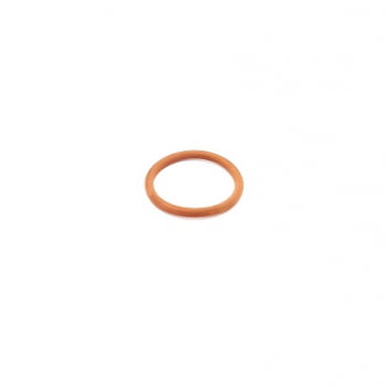 11702546 - ANEL