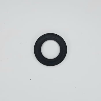 247550A1 - RETENTOR