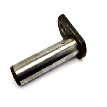 E 159038 - PINO