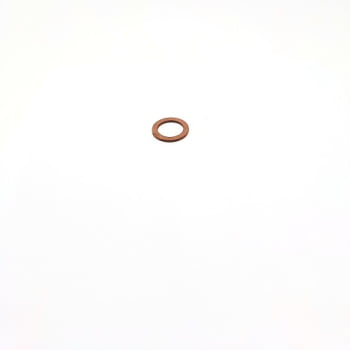10296685 - ARRUELA
