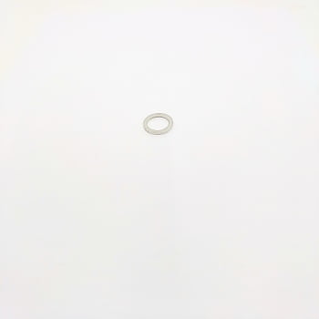 10298360 - ARRUELA