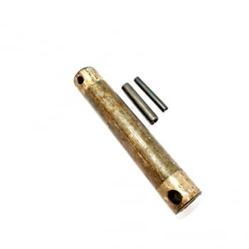591900 - PINO