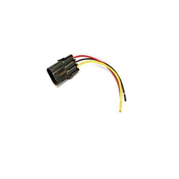 RS 9761 - CHICOTE