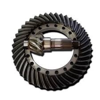 79065940 - COROA/PINHAO